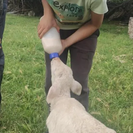 Relax アパート Kavran