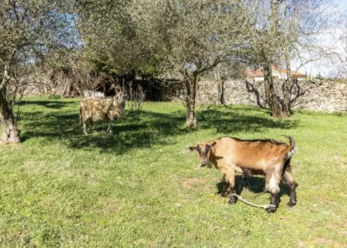 Lejlighed Relax Kavran